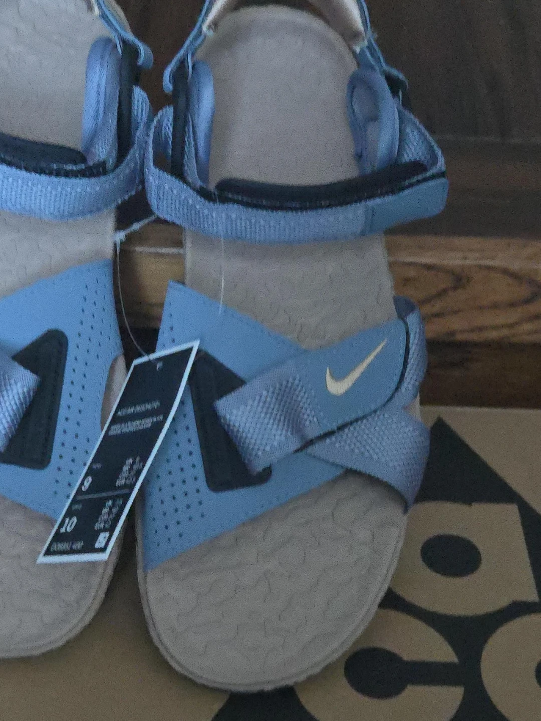 BNWT Nike ACG Air Deschutz Sandals