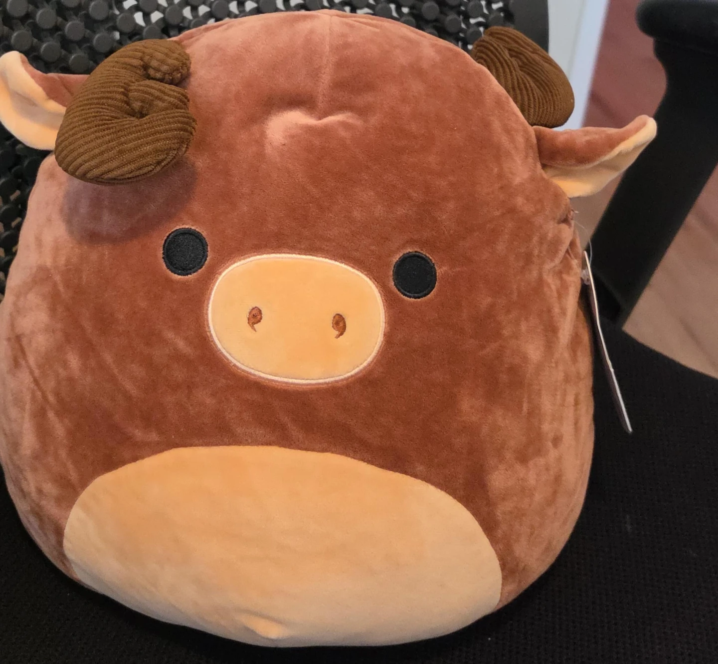Squishmallow Brown Bull Plush Toy