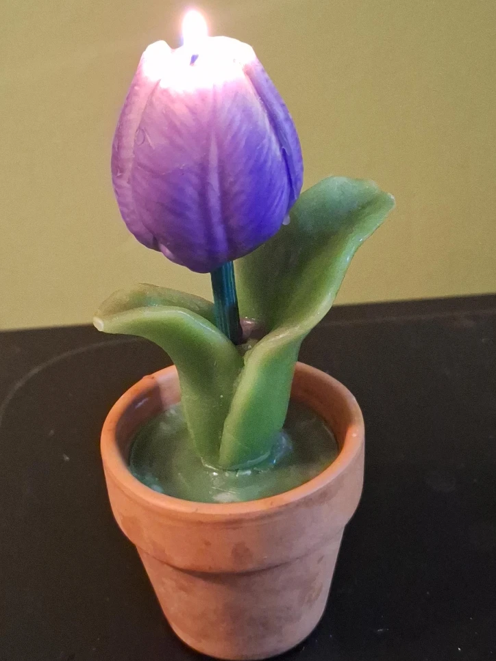 Tulip Flower Pot Candle - Purple