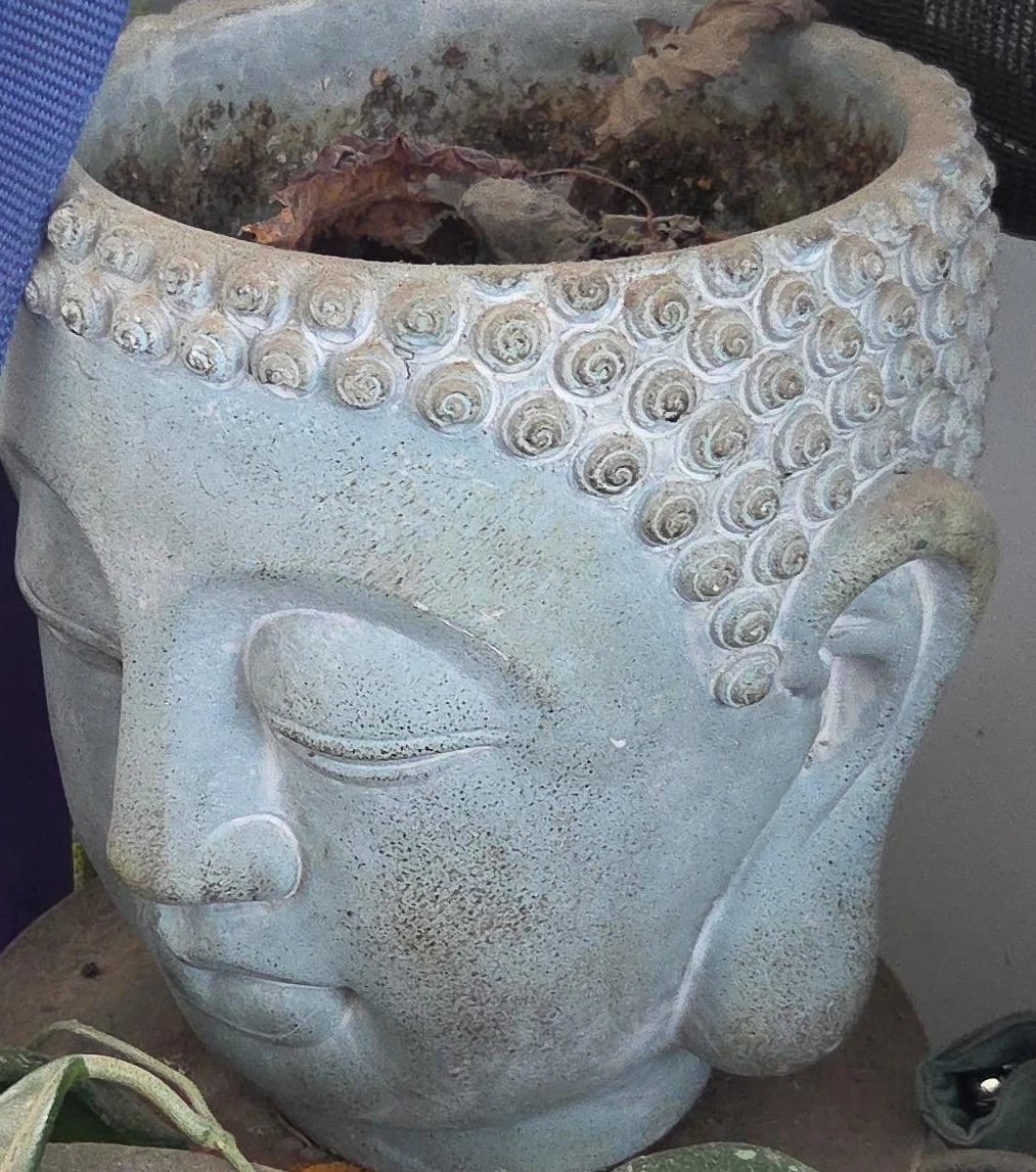 Buddha Head Planter Pot