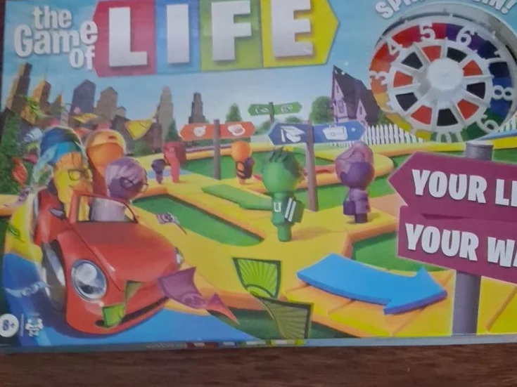 The Game of Life Board Game