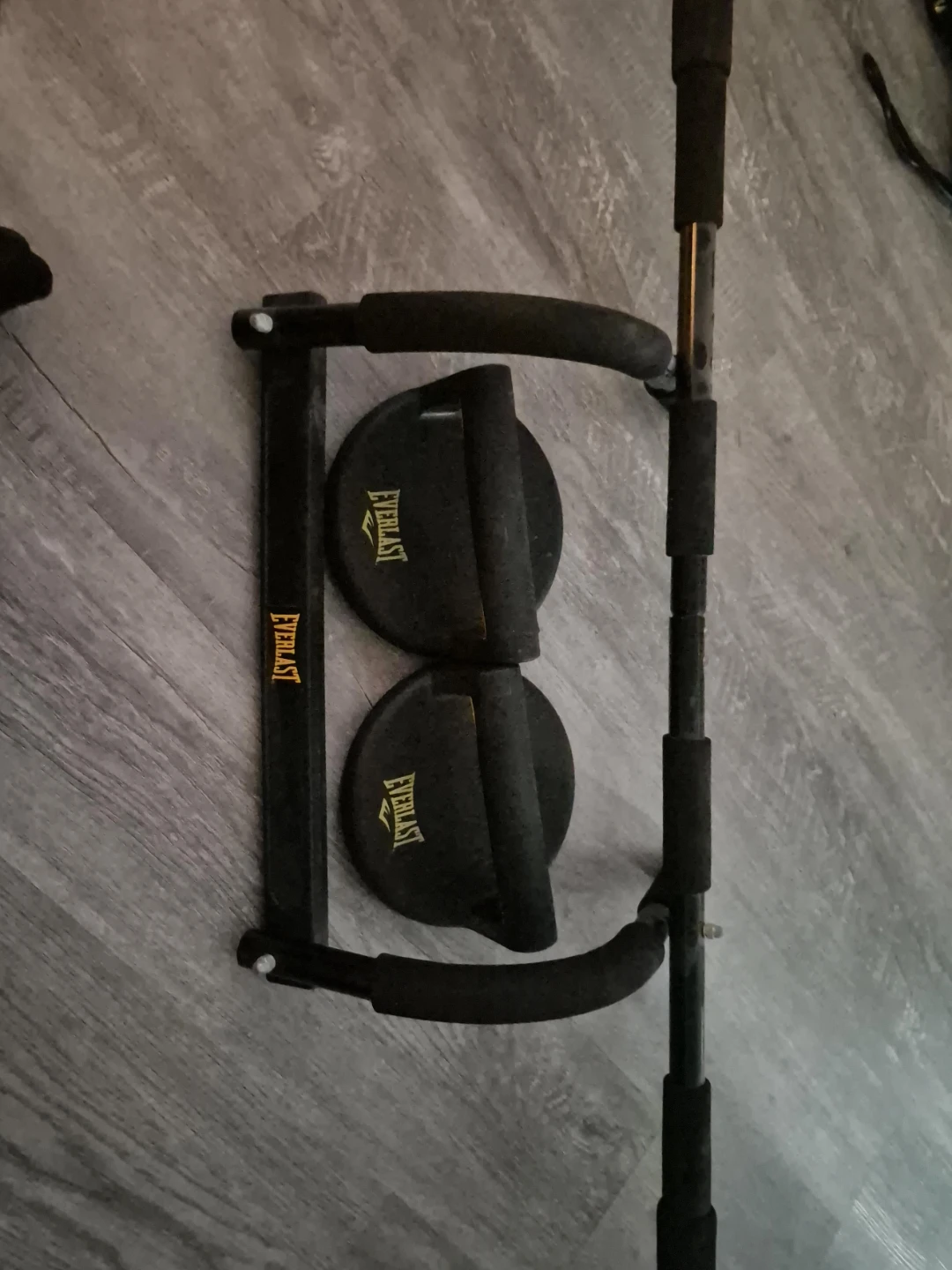 Everlast Pull Up Bar and push up paddles