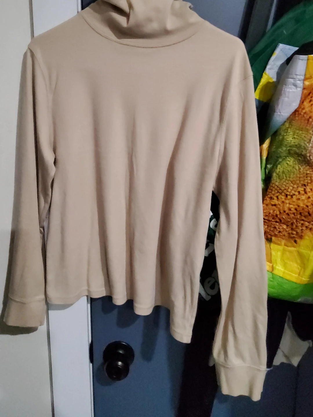 Women's Beige Turtleneck Long Sleeve Shirt