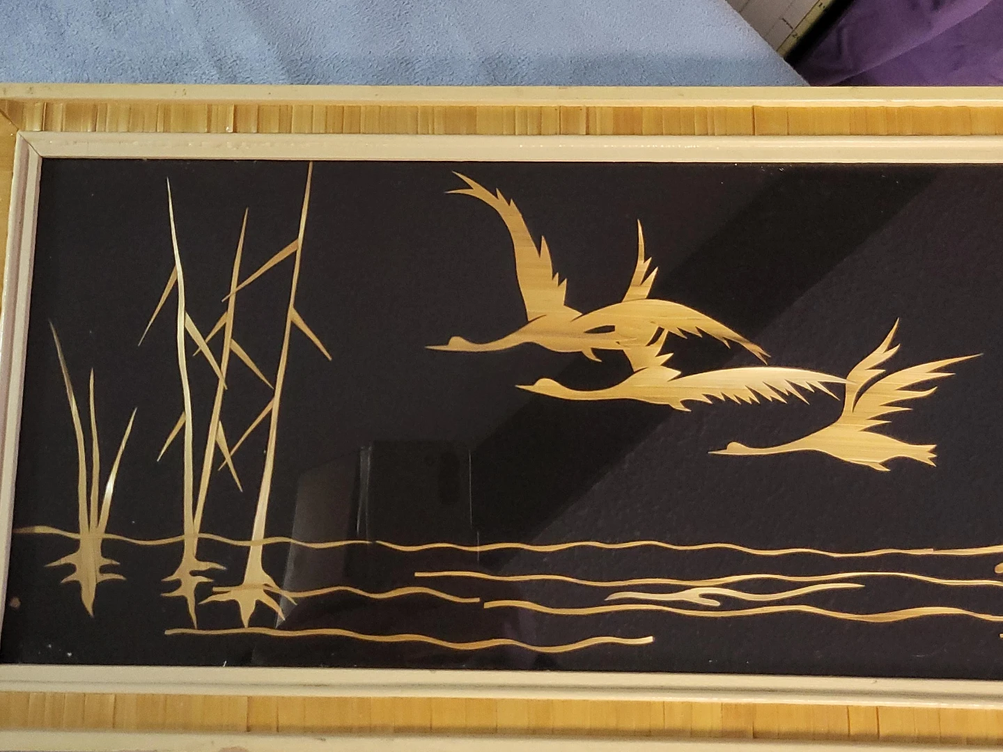 Framed Bird Art