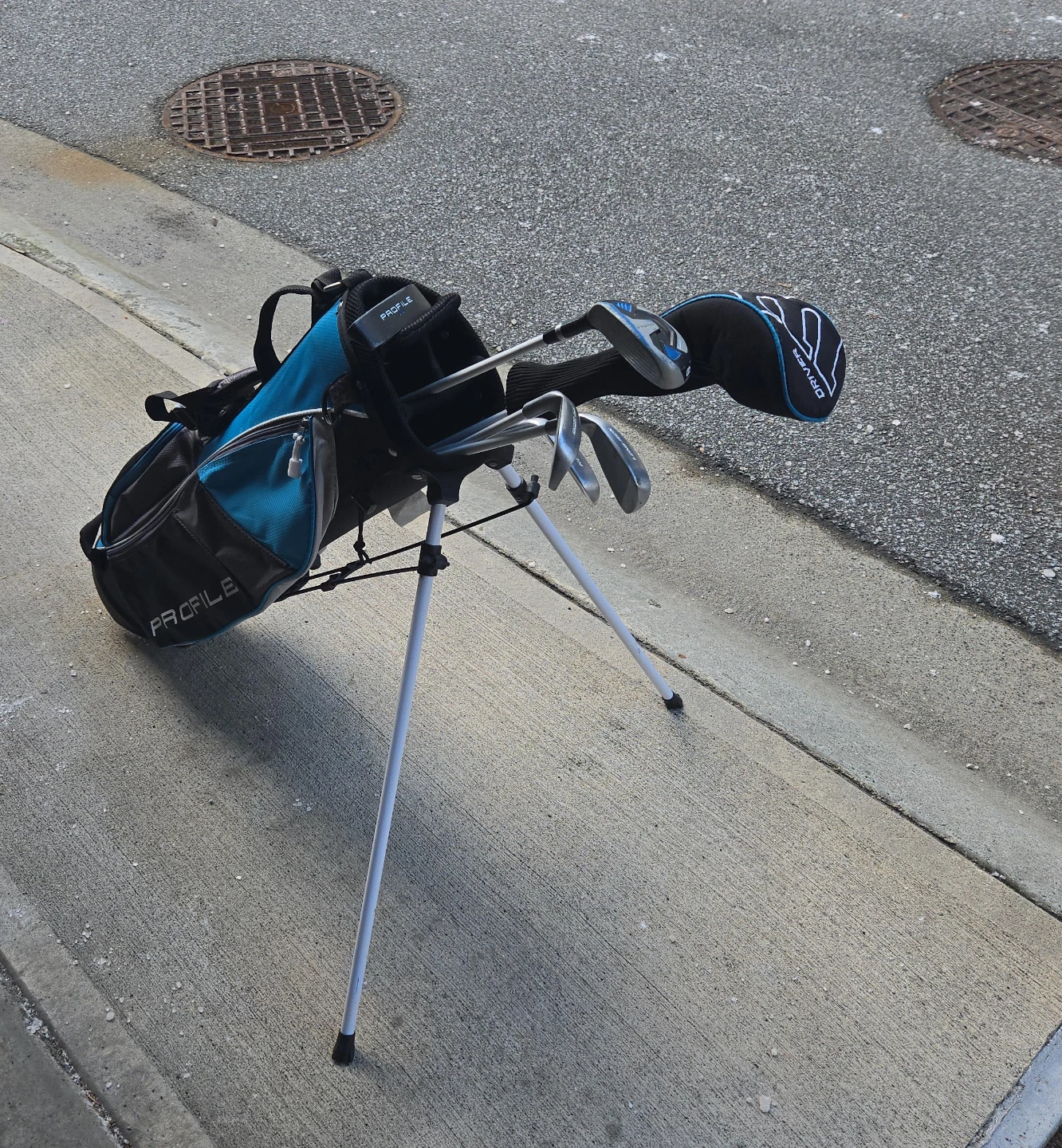 Wilson Profile Golf Club Set with Stand Bag