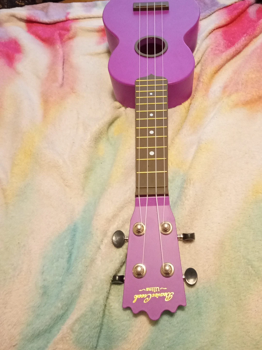 Beaver Creek Ulina Ukulele - Purple