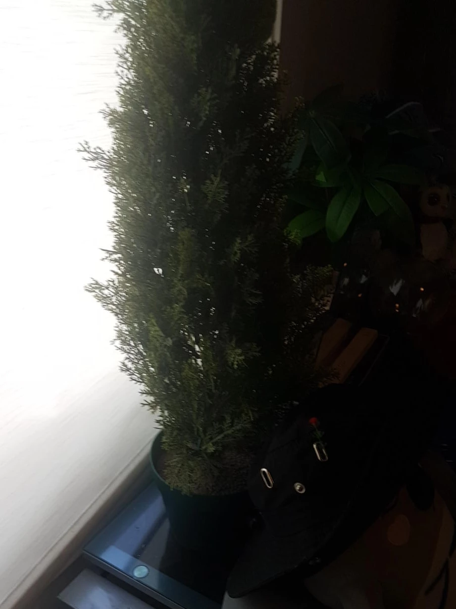 Artificial Cedar Tree in Pot