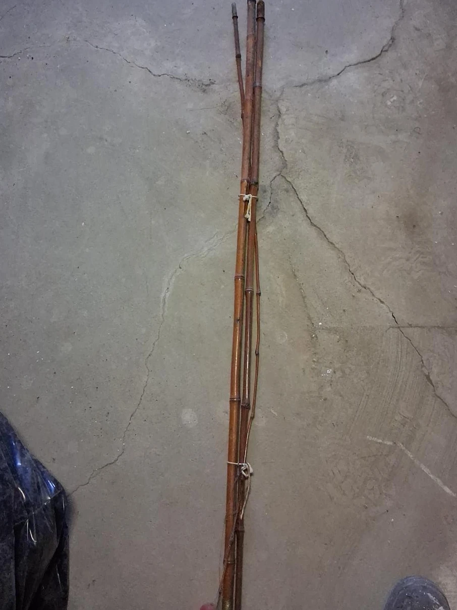 Lot of 5 Bamboo Poles
