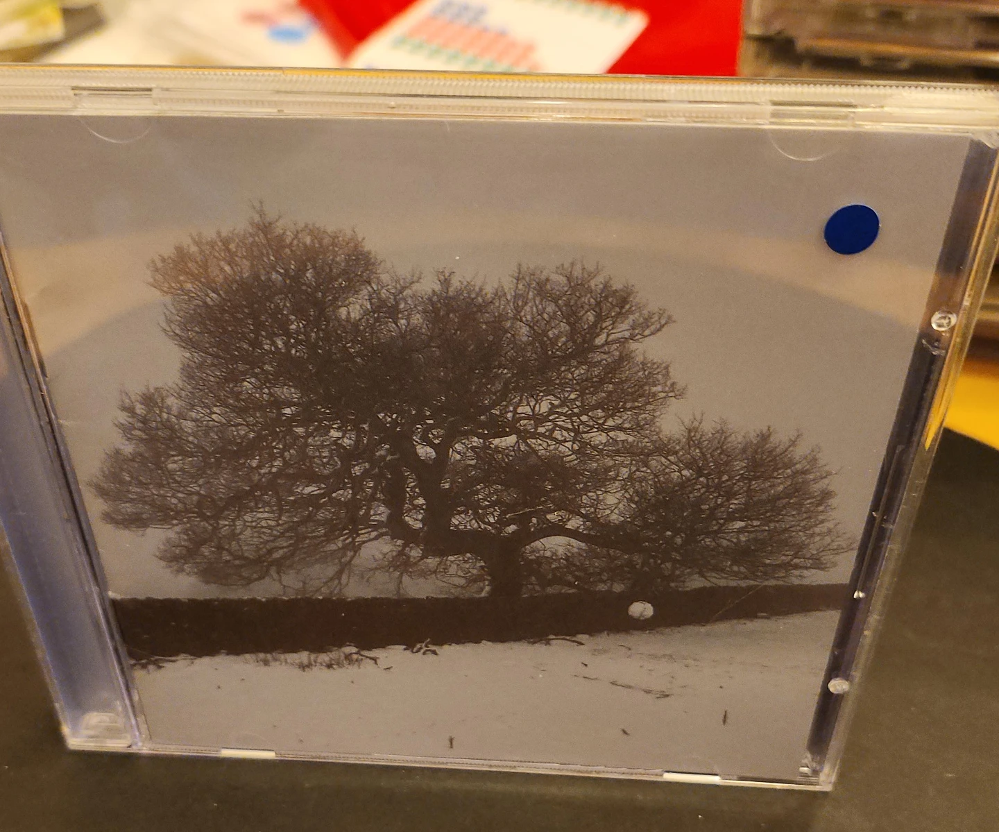 K.D. LANG HYMNS OF THE 49TH PARALLEL CD