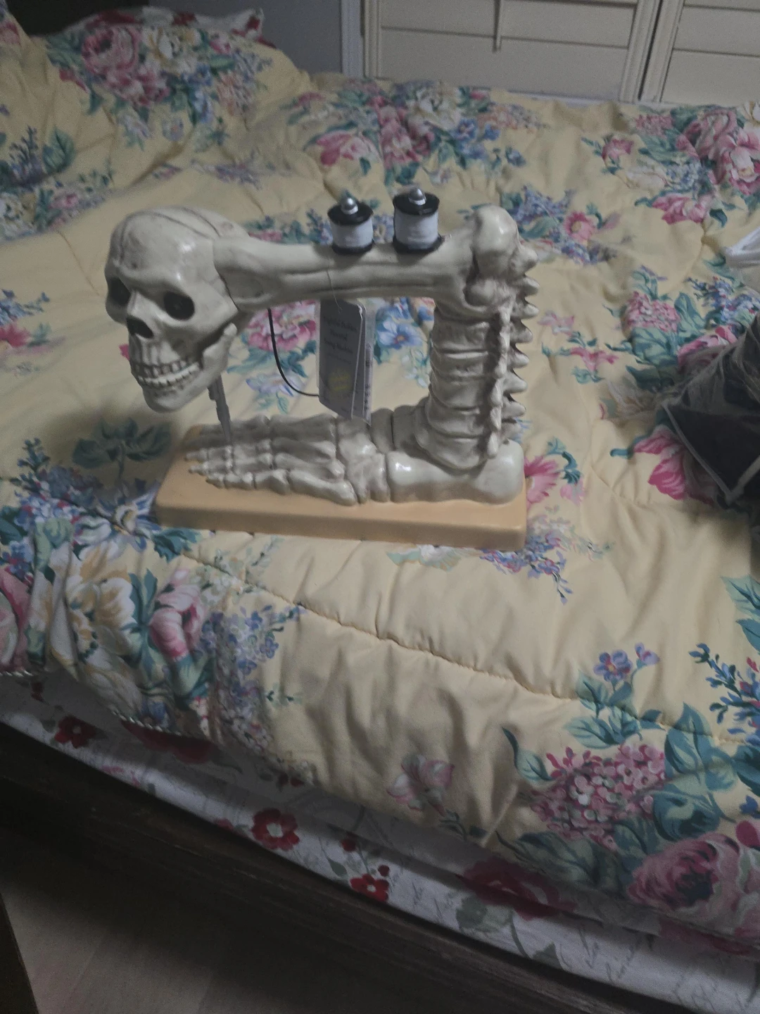 Skeleton Bone Tabletop Decor with Spools
