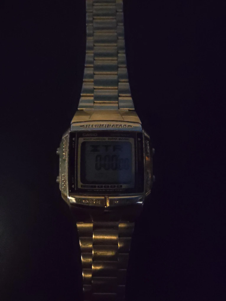 Casio DS-360 Data Bank Watch