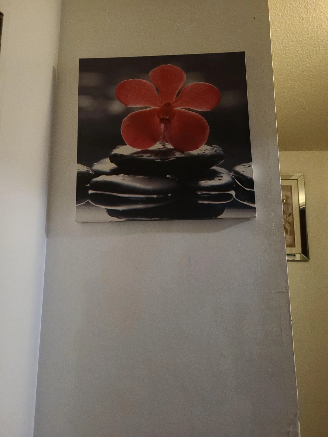 Canvas Wall Art - Red Orchid on Stacked Stones