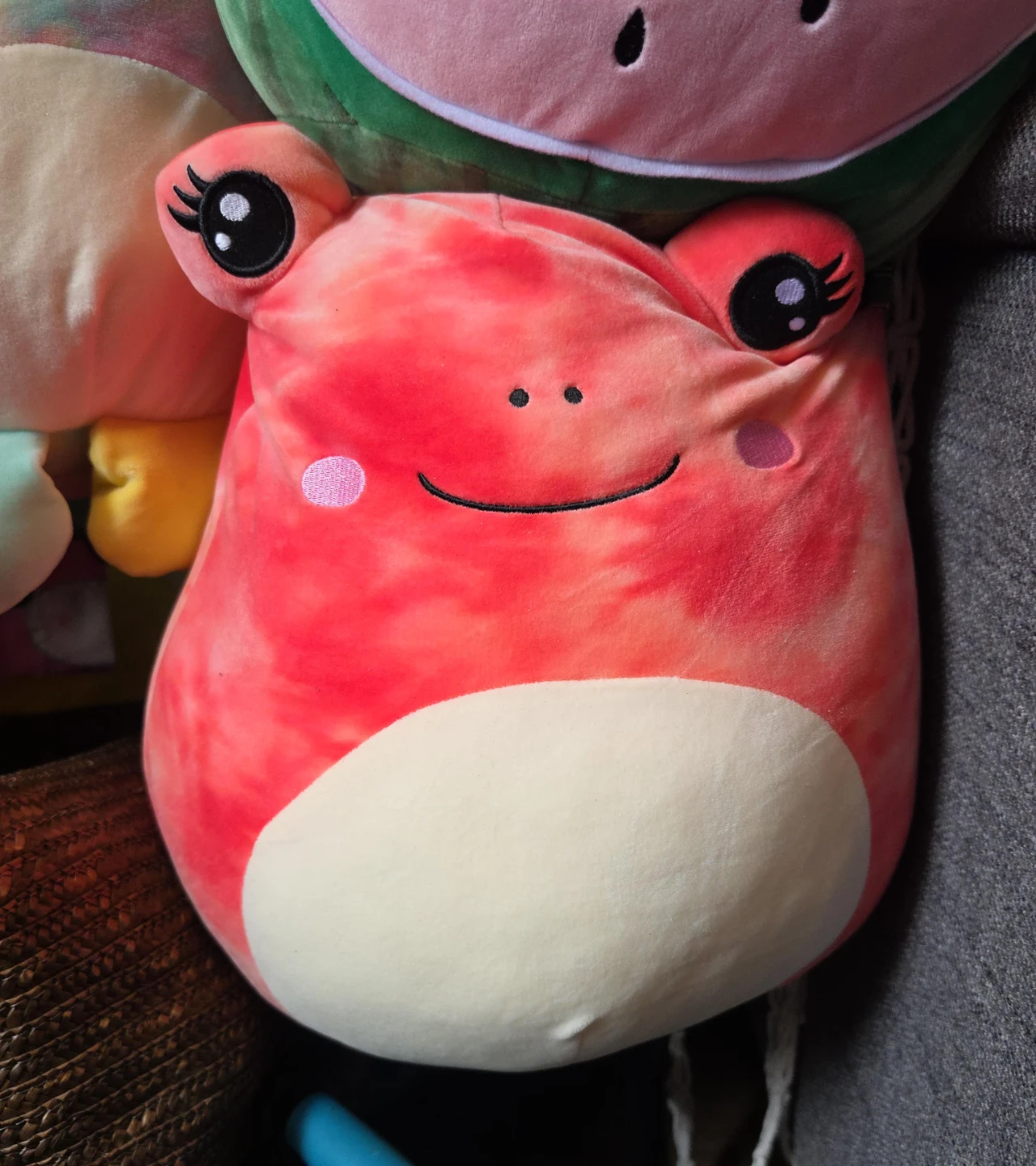 Tie-Dye Frog Plush Toy