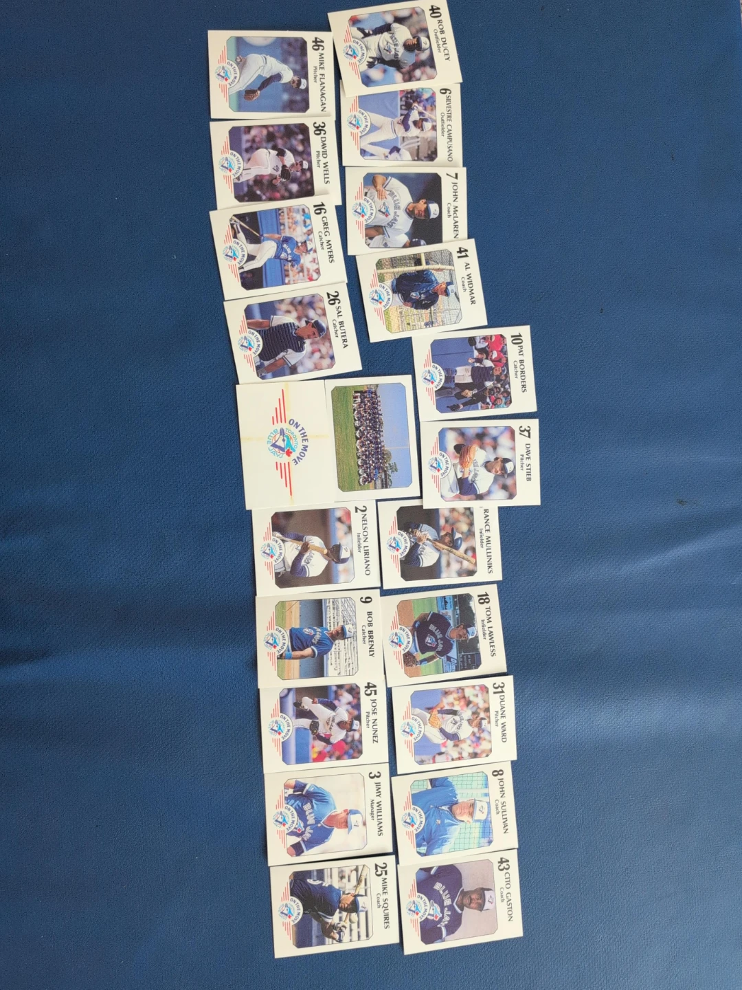 Toronto Blue Jays Baseball Cards Collection