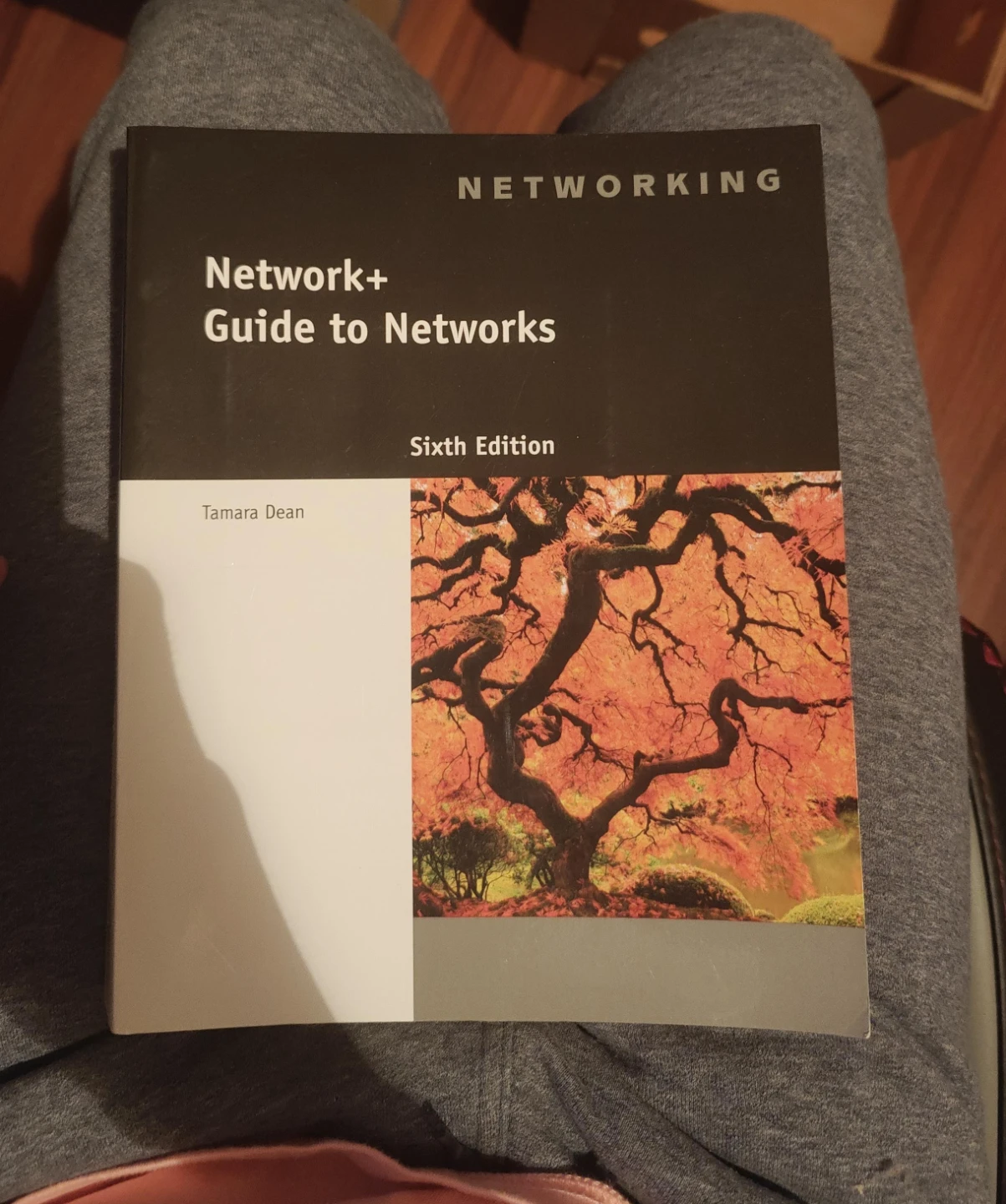 Network+ Guide to Networks, Sixth Edition