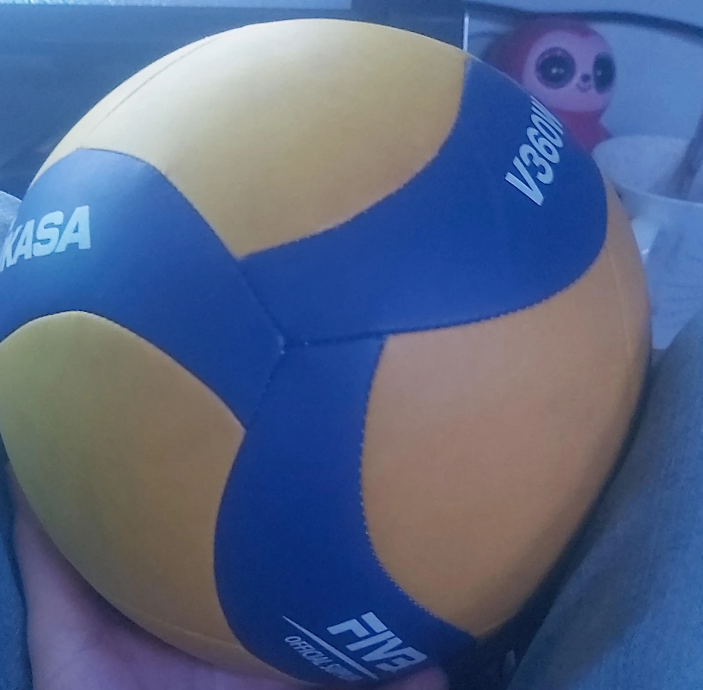 Mikasa V360W Volleyball