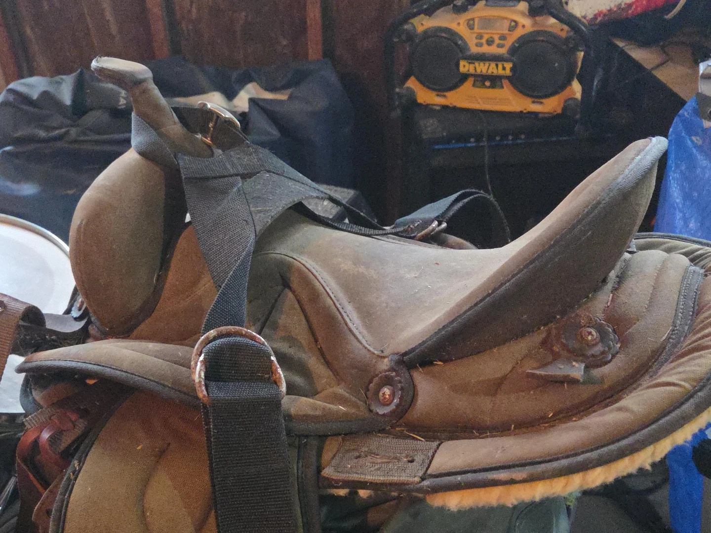Used Horse Saddle