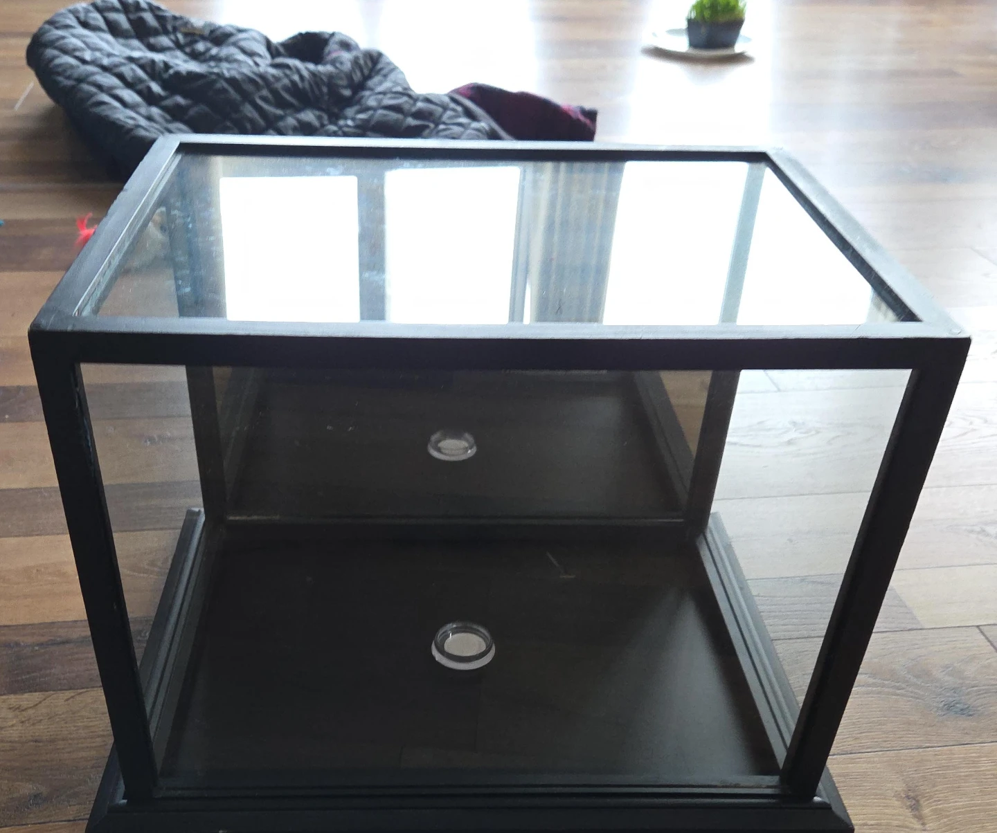 Glass Display Case with Dark Base
