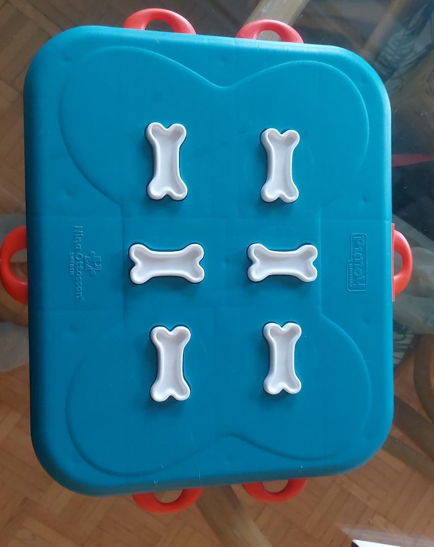 Nina Ottosson by Outward Hound Dog Puzzle Toy