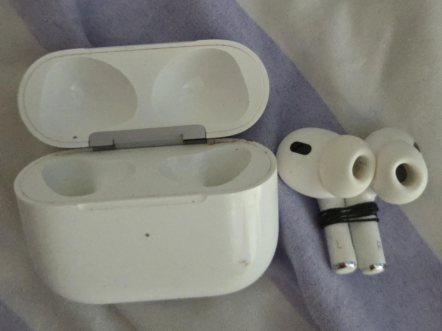 Apple AirPods Pro Charging Case and Earbuds