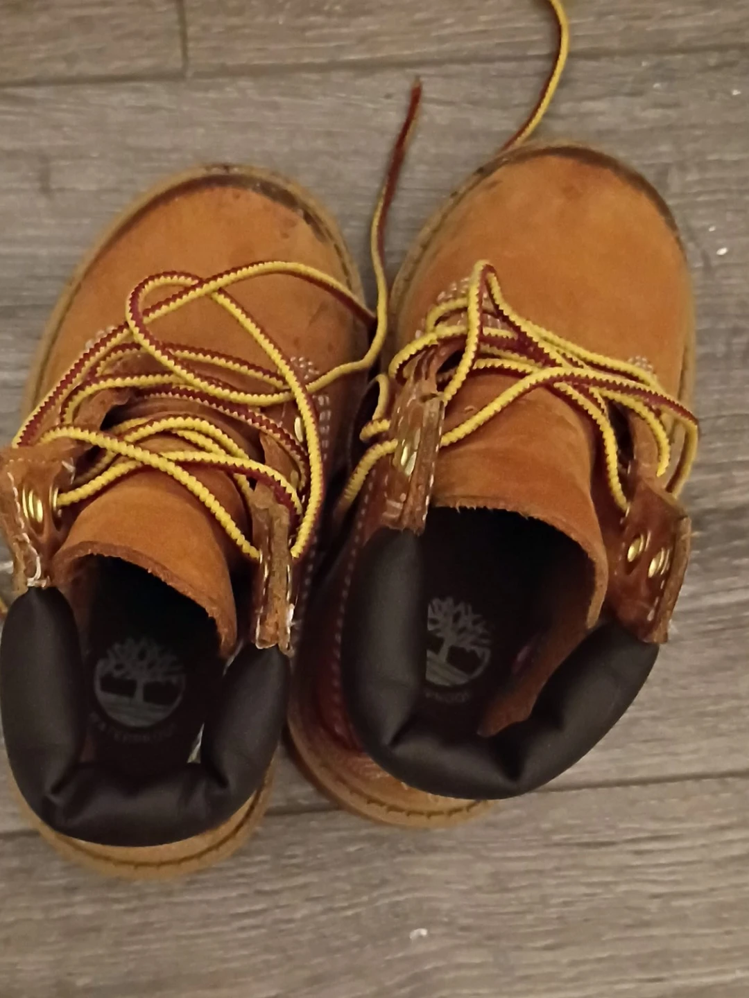 Timberland Toddler Boots - Brown Suede