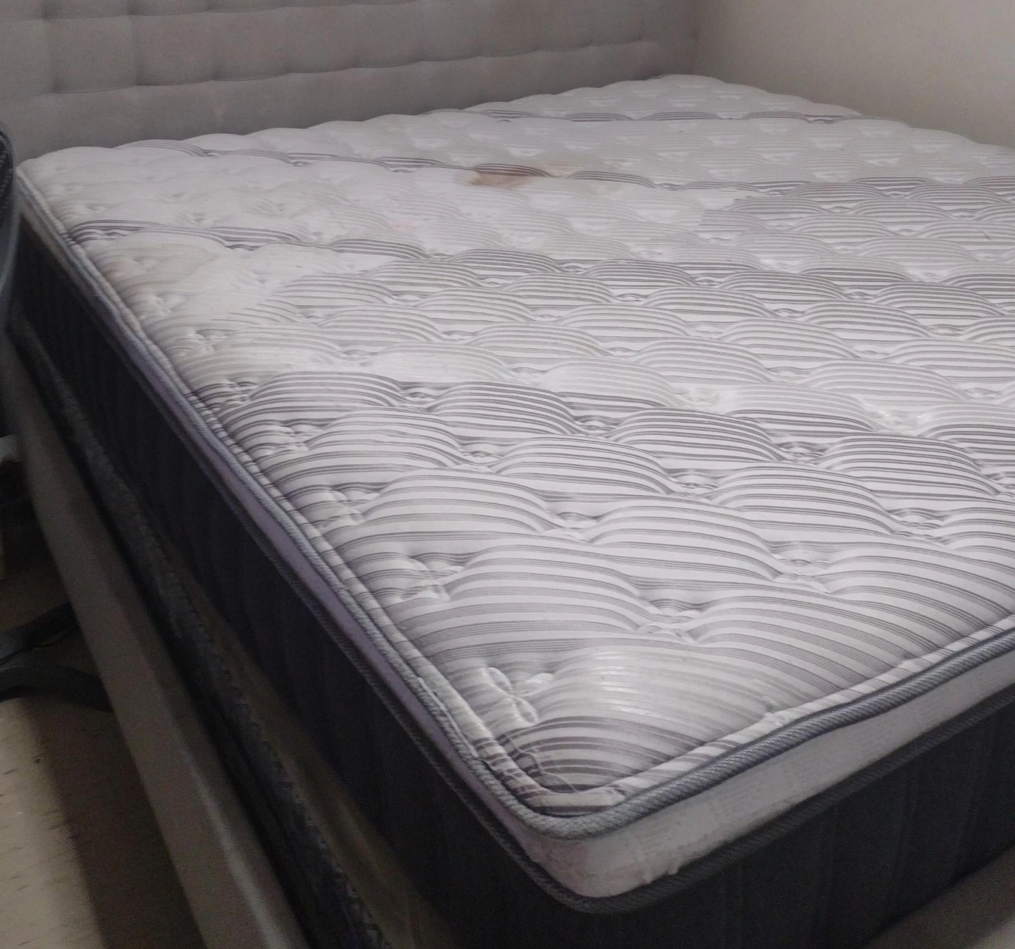 Sealy Mattress
