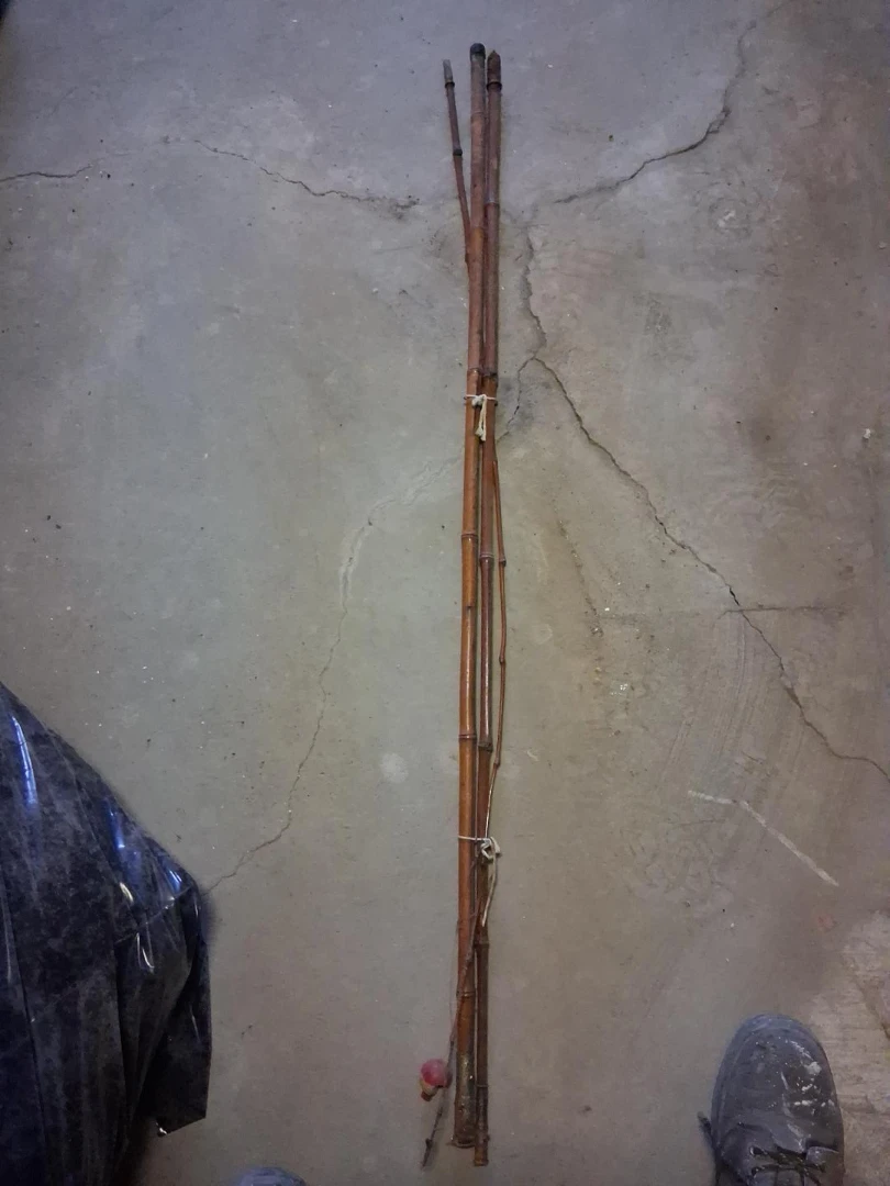 Bundle of Bamboo Poles