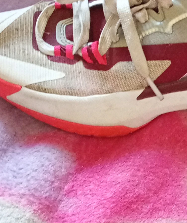 Nike Zoom Freak 4 Basketball Shoes