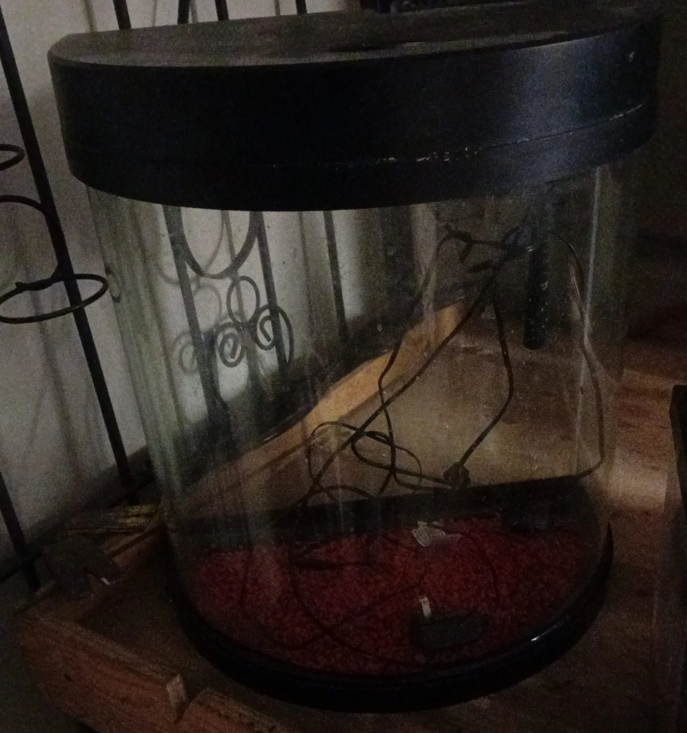 Cylindrical Glass Aquarium Tank with Black Lid