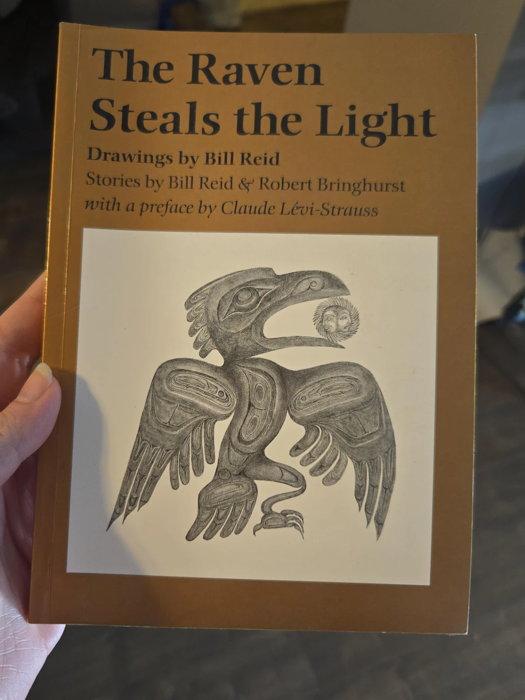 The Raven Steals the Light Book