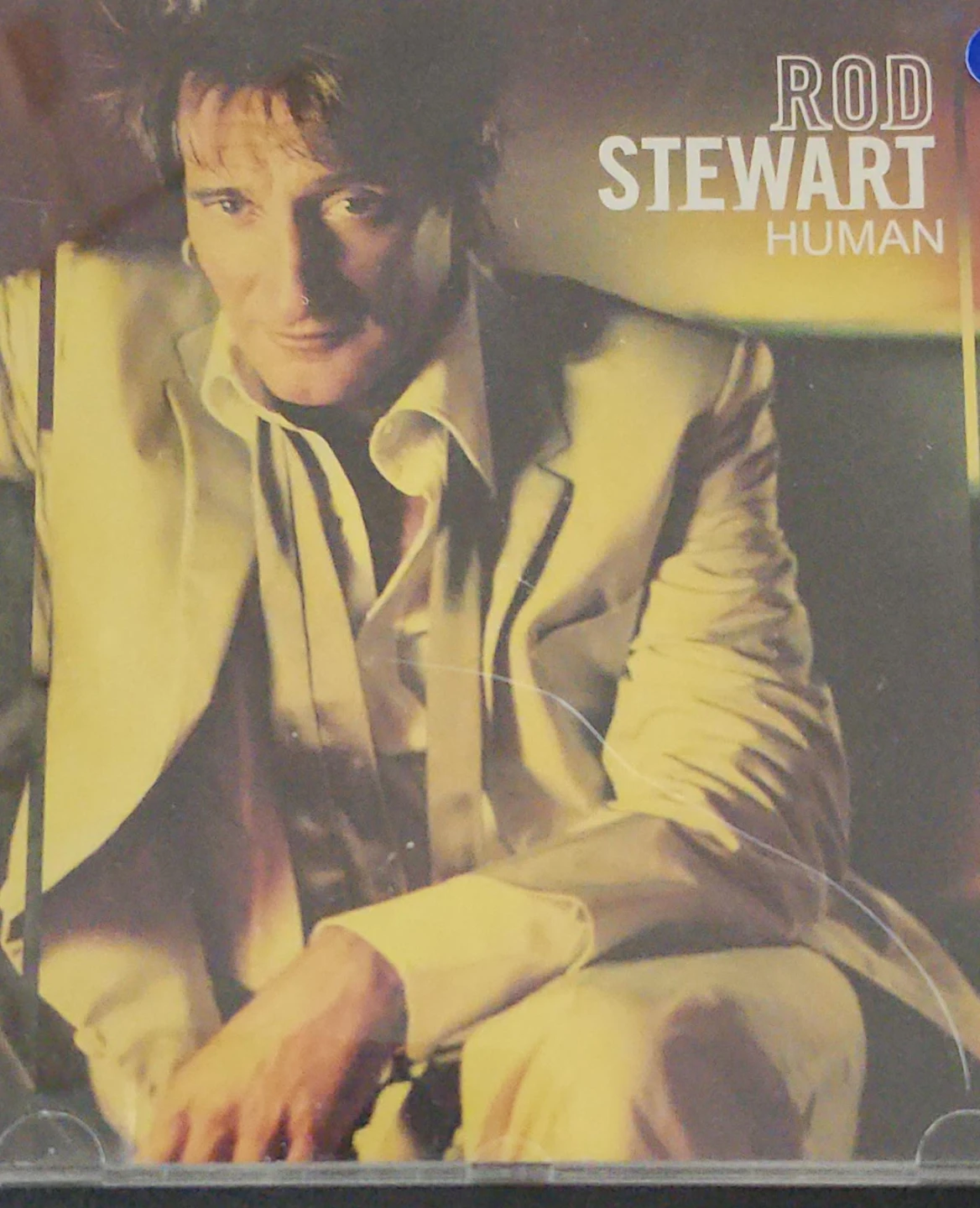 Rod Stewart Human CD