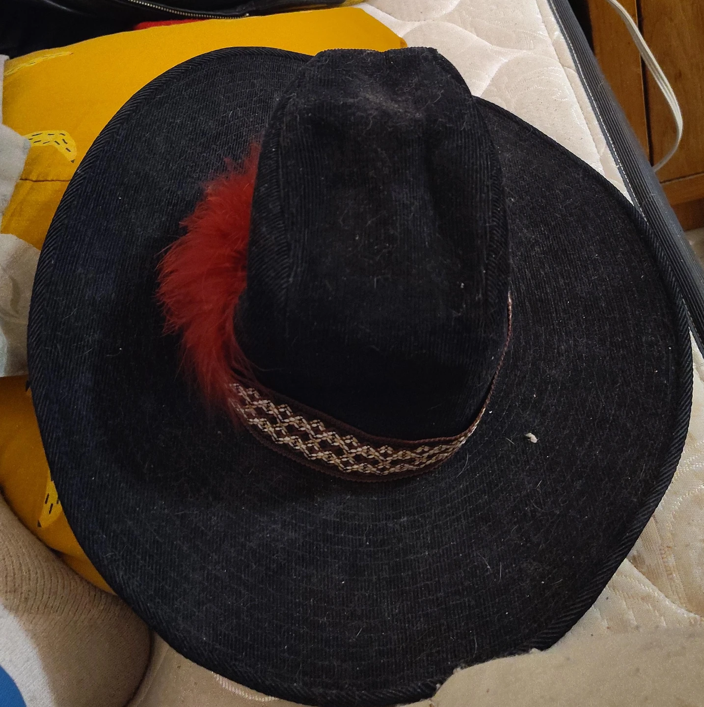 Black cowboy hat with red feather and decorative band