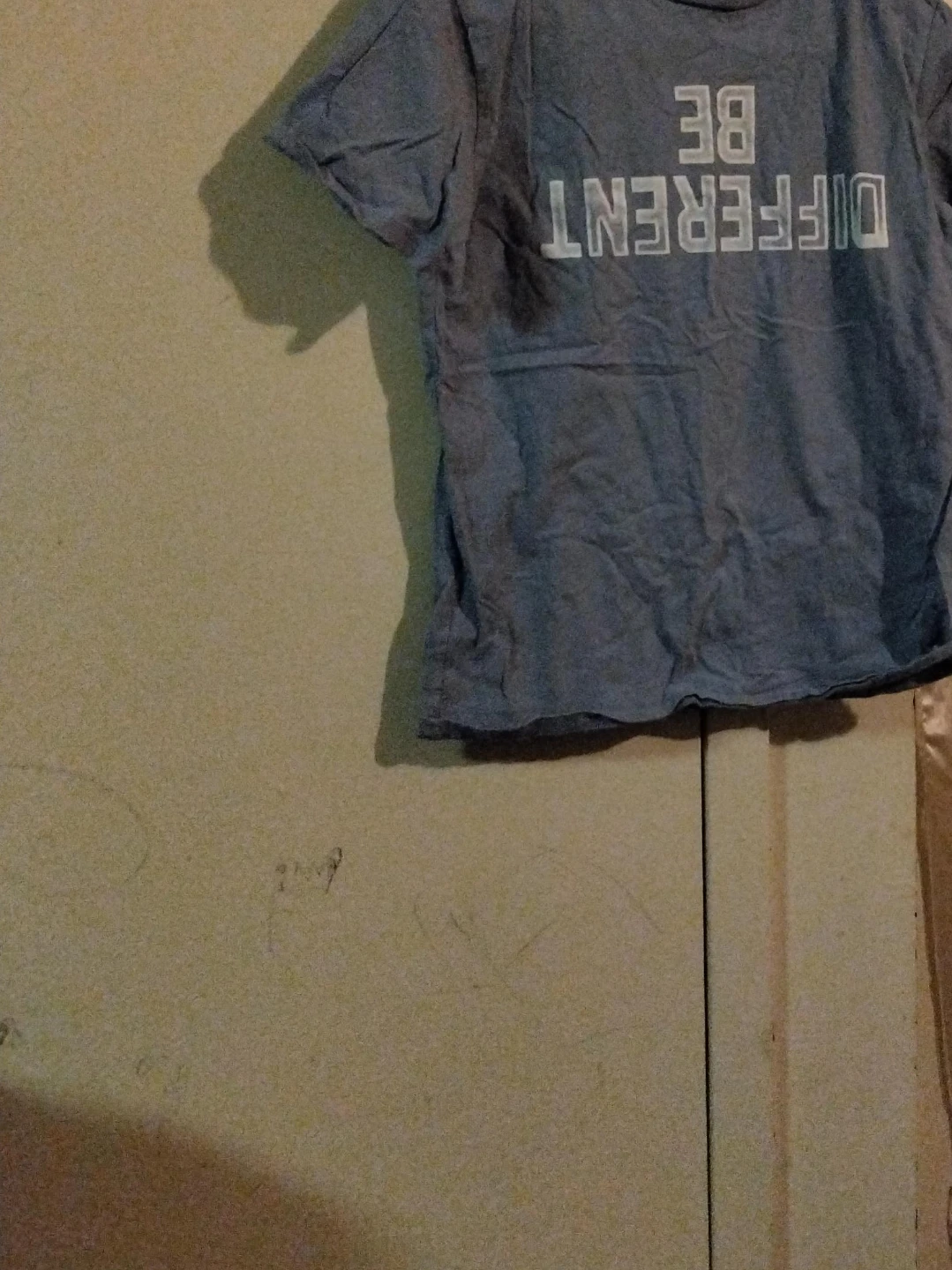 Blue T-shirt with Different Be print