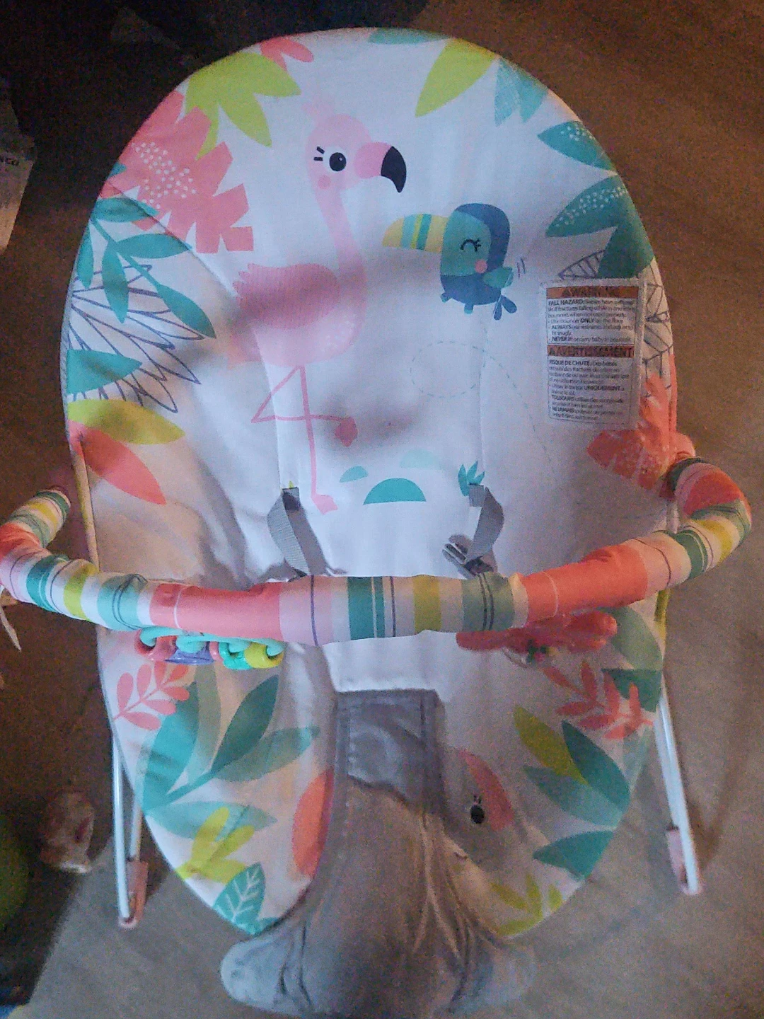 Kids II Baby Bouncer Seat
