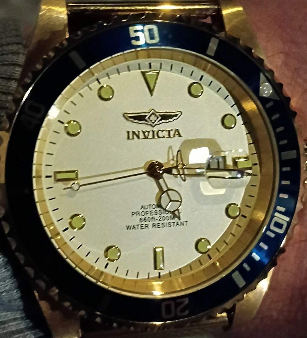 Invicta Pro Diver Automatic Bastion Watch.
