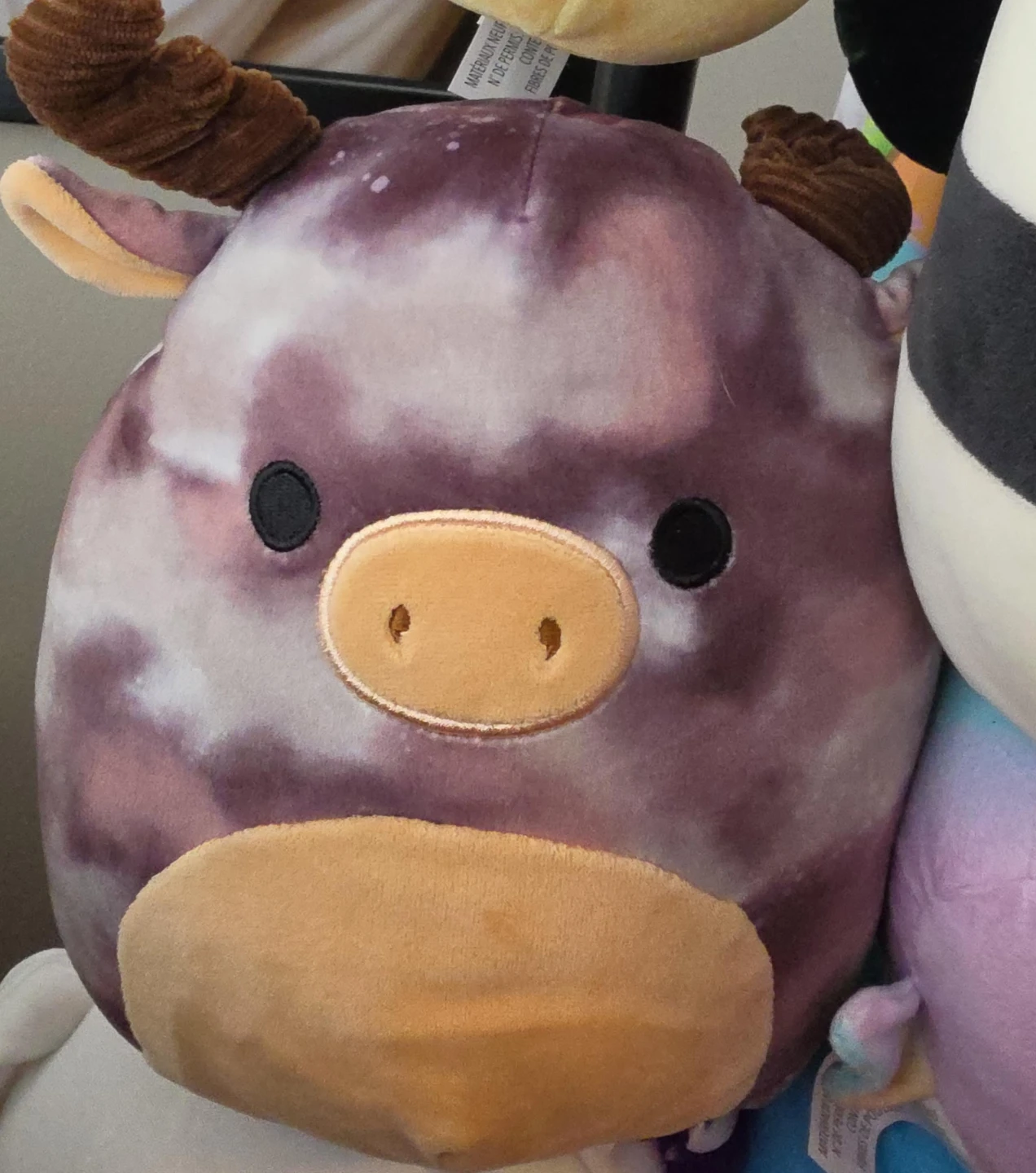 Squishmallow Plush Toy
