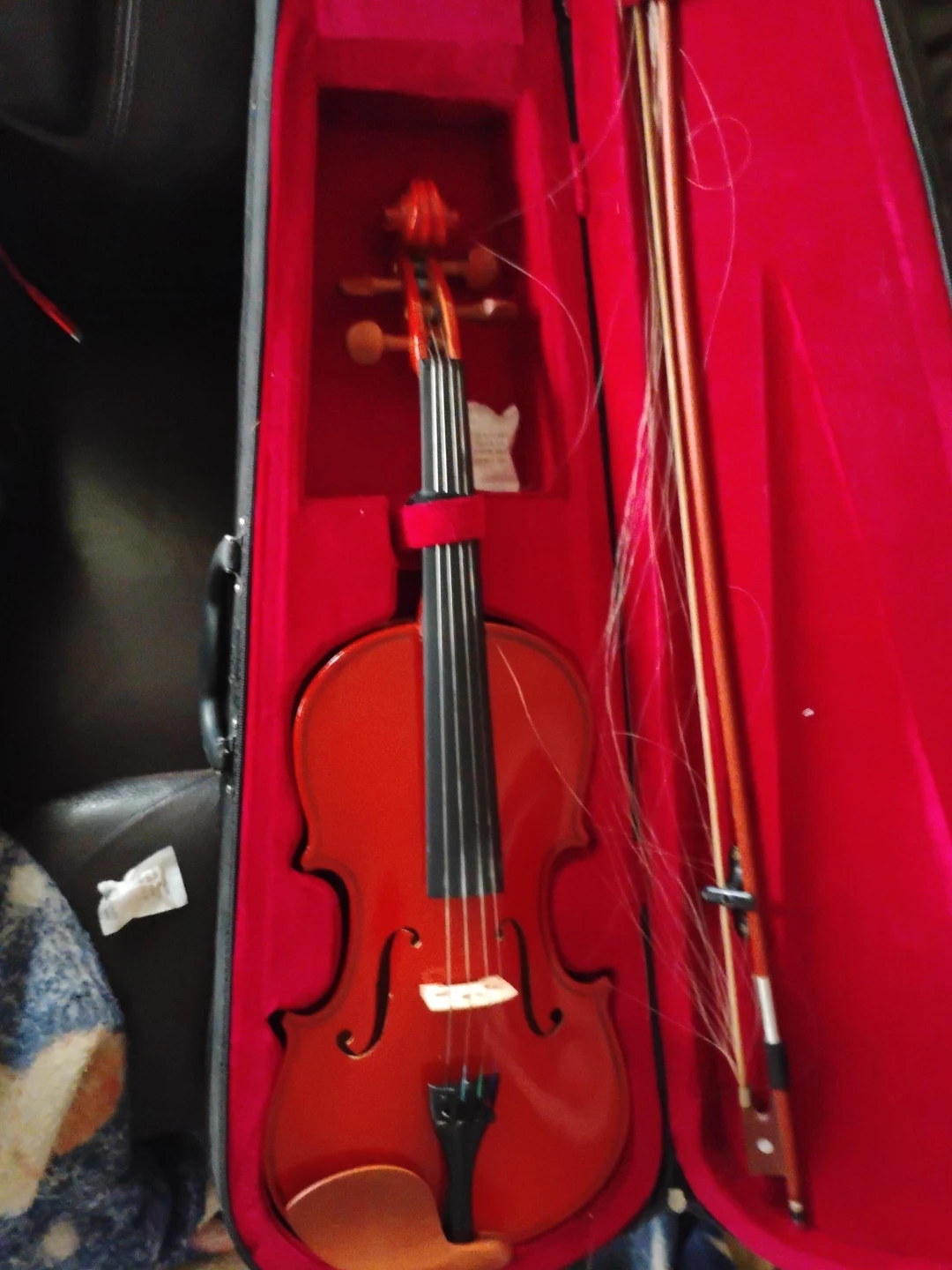 Violin with Case and Bow