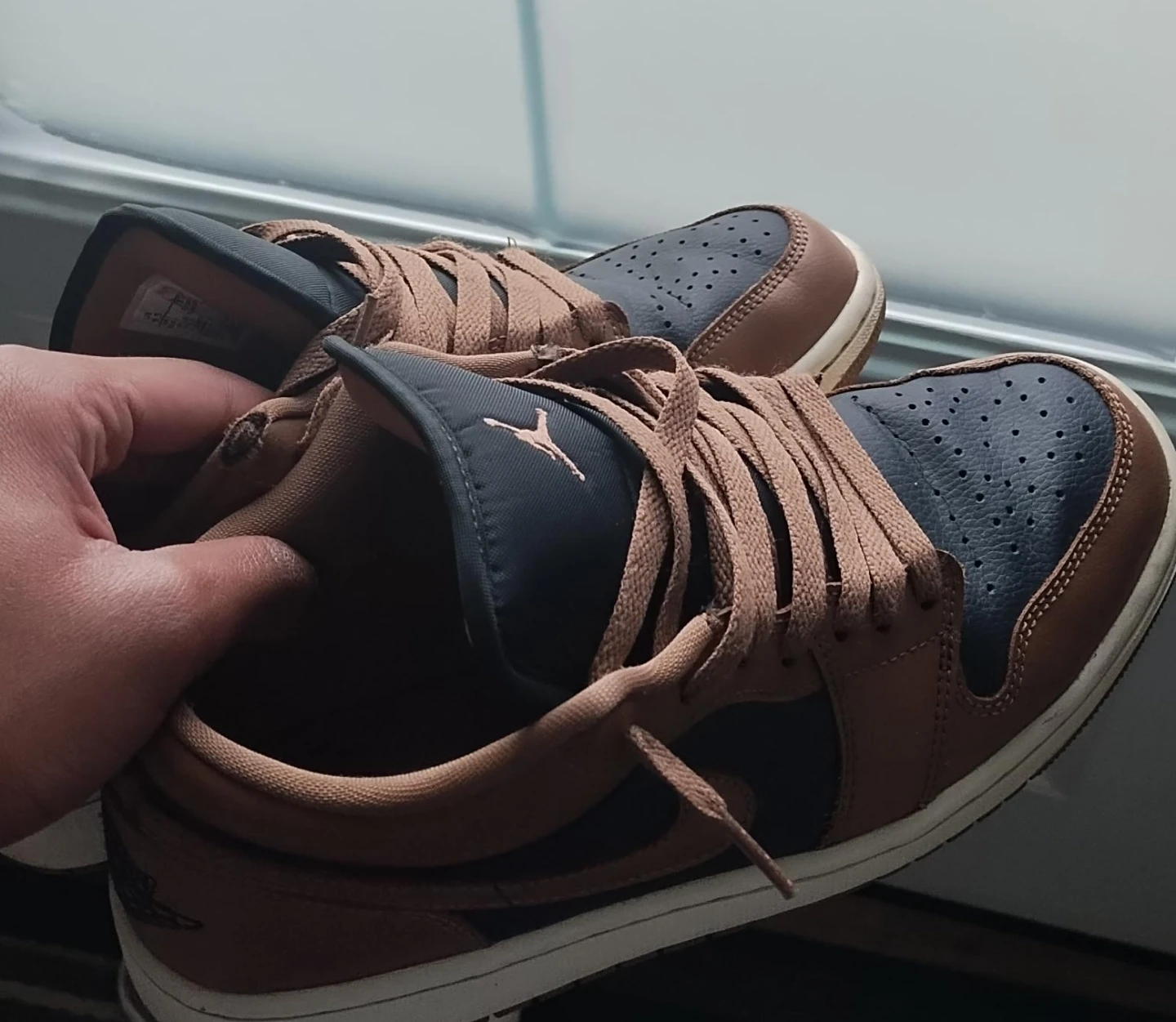 Air Jordan 1 Low Shoes
