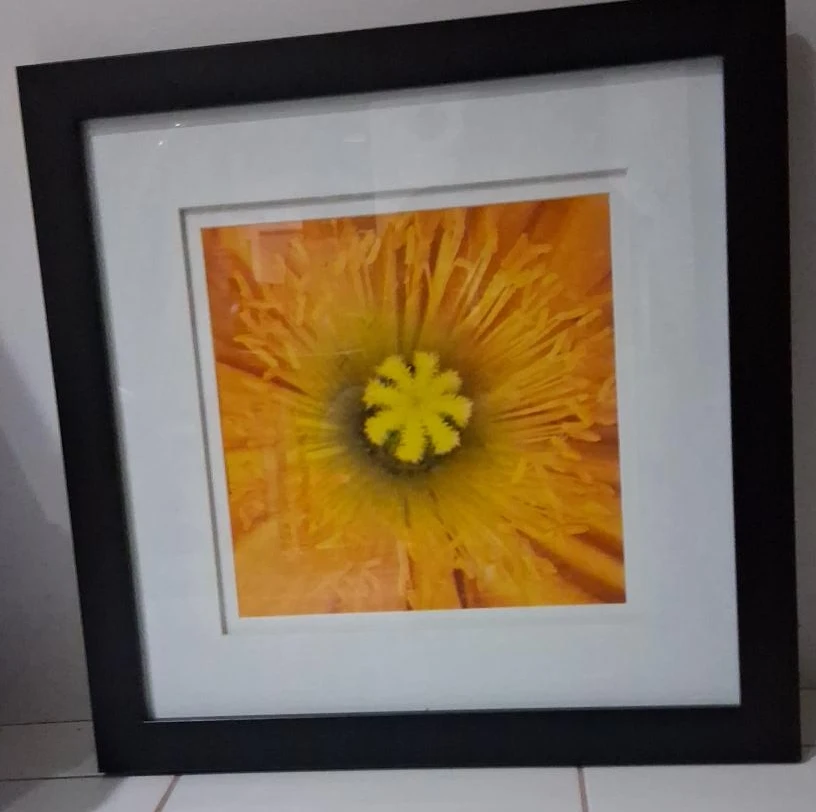 Framed Orange Flower Art Print