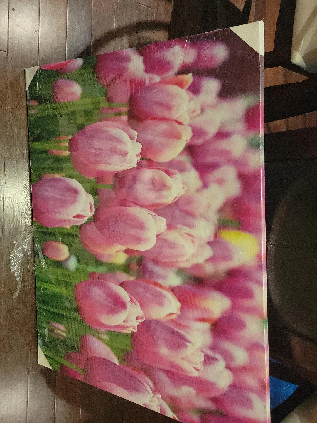 Pink Tulips Canvas Print Wall Art