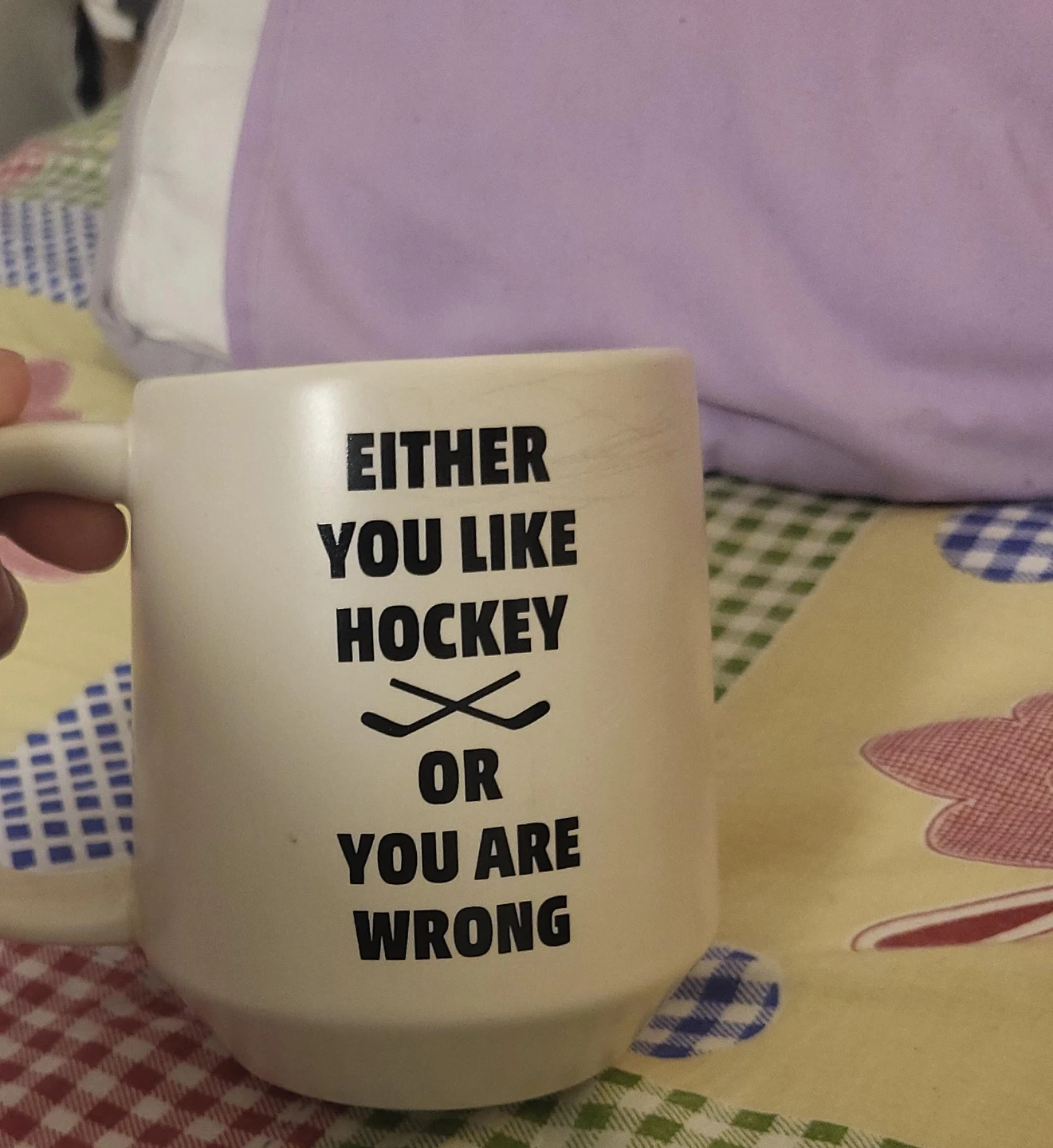 White Mug - Either You Like Hockey Or You Are Wrong