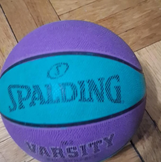 Spalding Varsity Basketball Purple/Teal