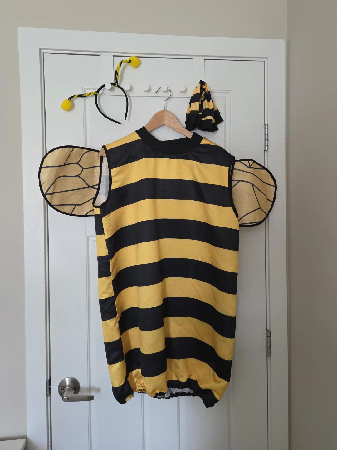 Adult Bee Costume