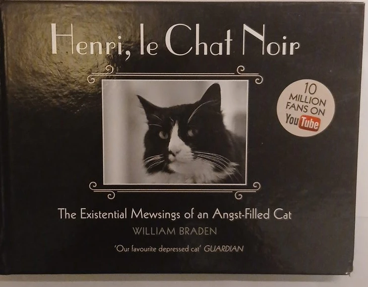 Henri, le Chat Noir