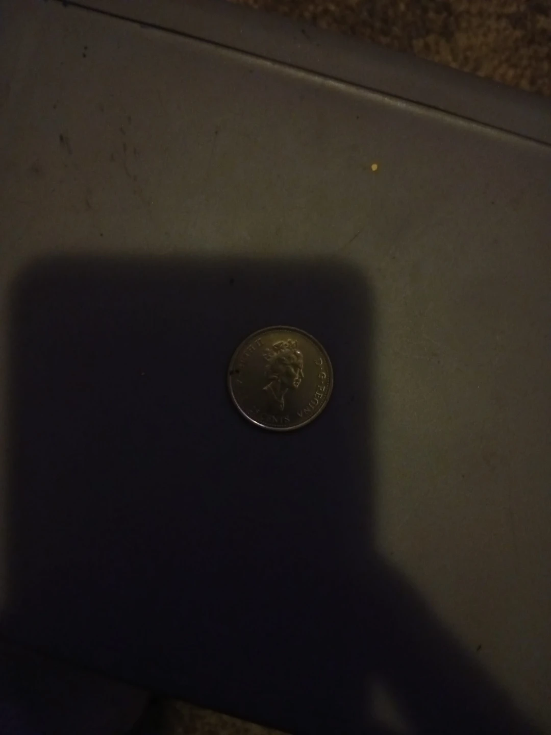 Canadian Loonie Coin