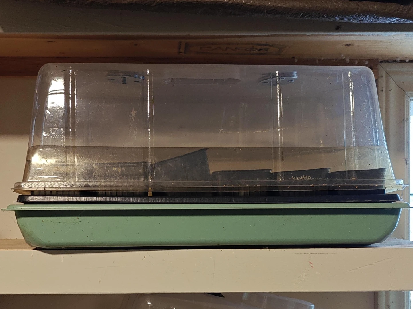 Seedling Starting Setup