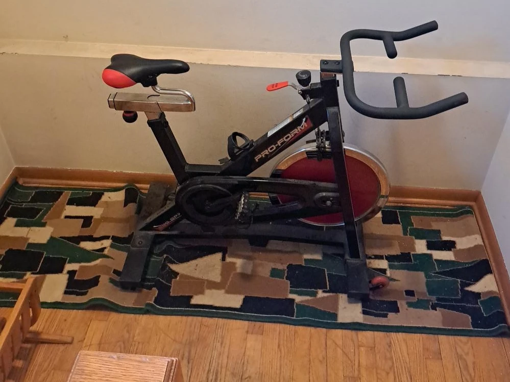 Pro-Form Spin Bike