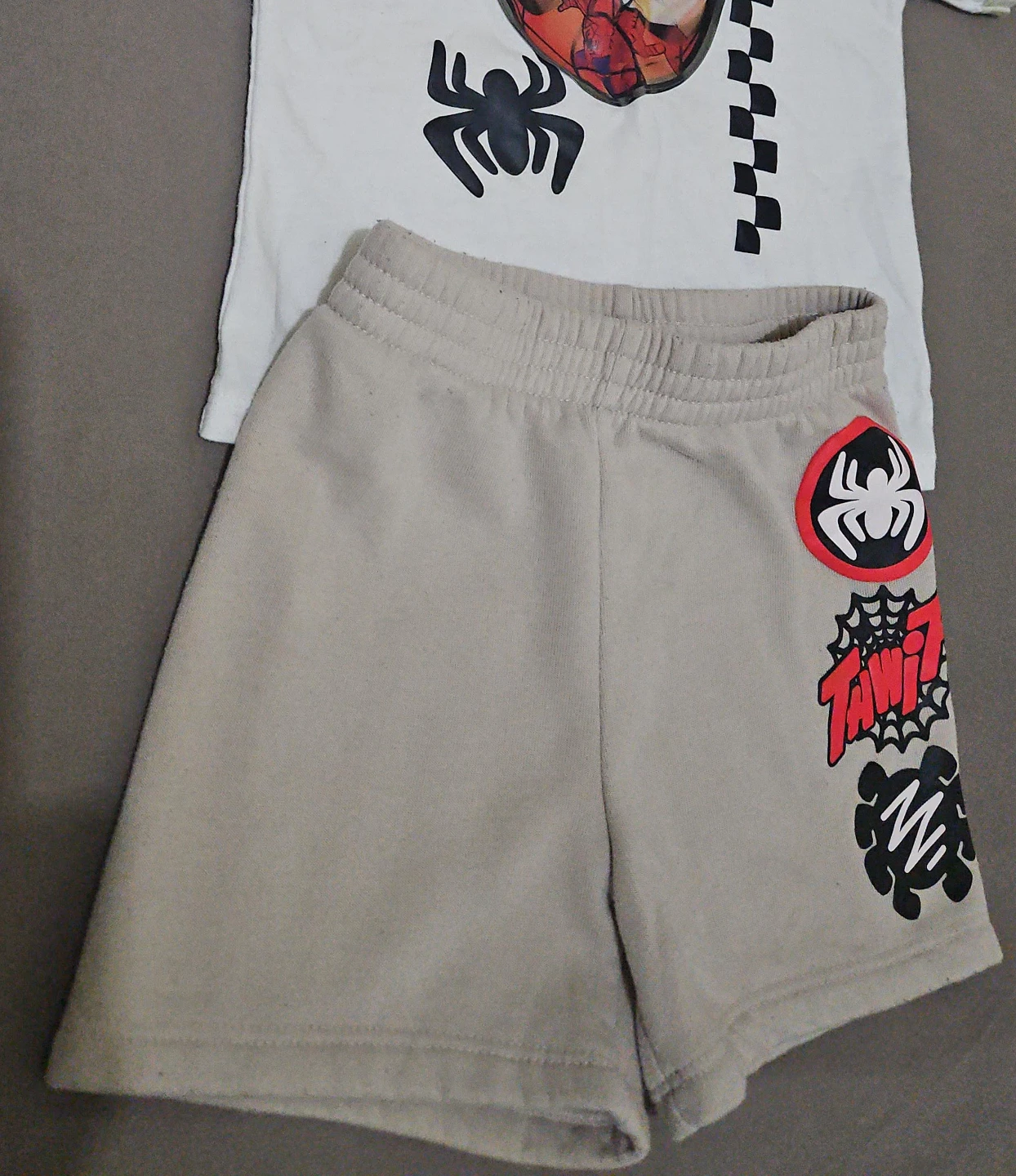 Kids Spider-Man T-Shirt and Shorts Set