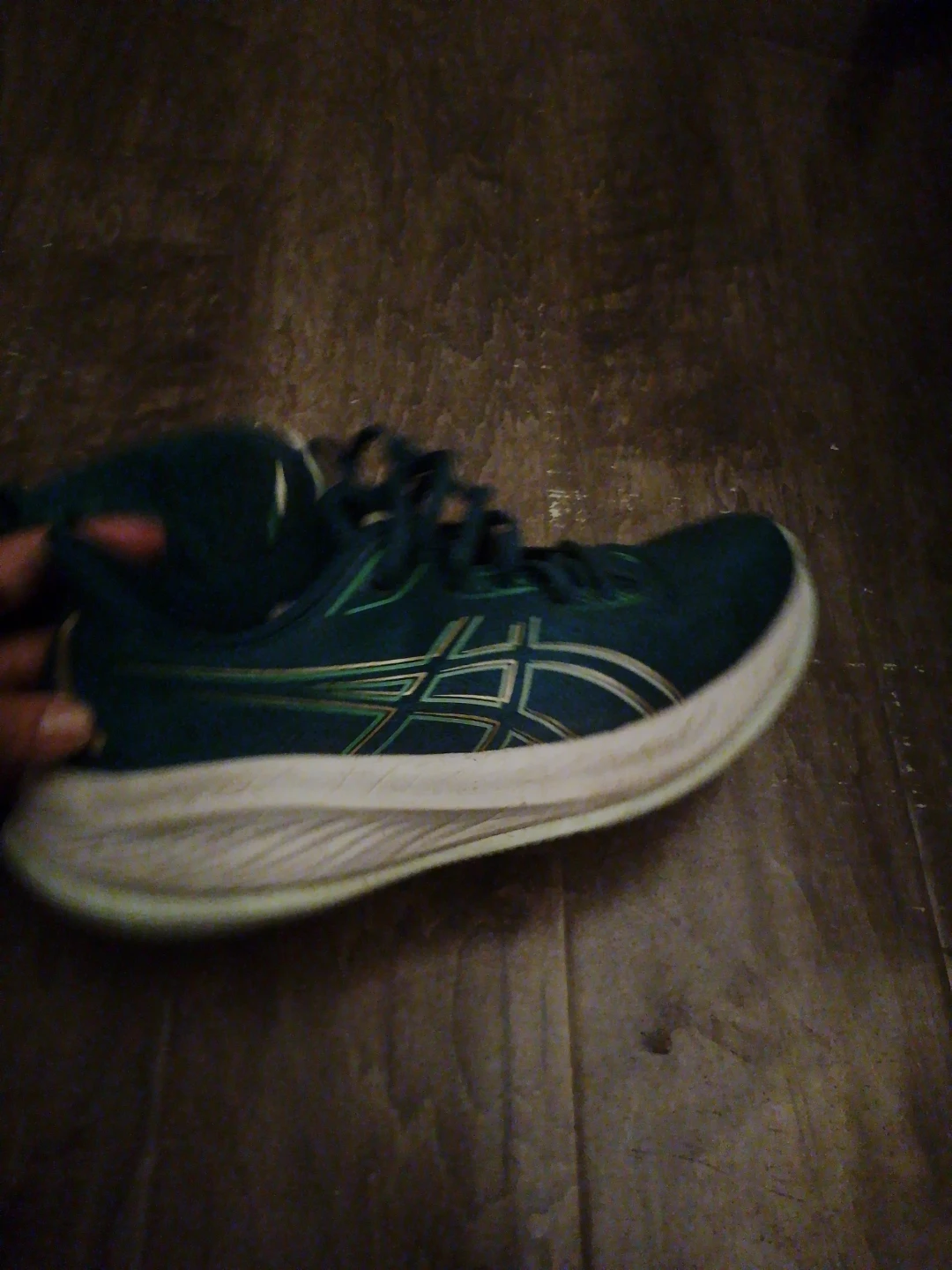 Asics Running Shoes