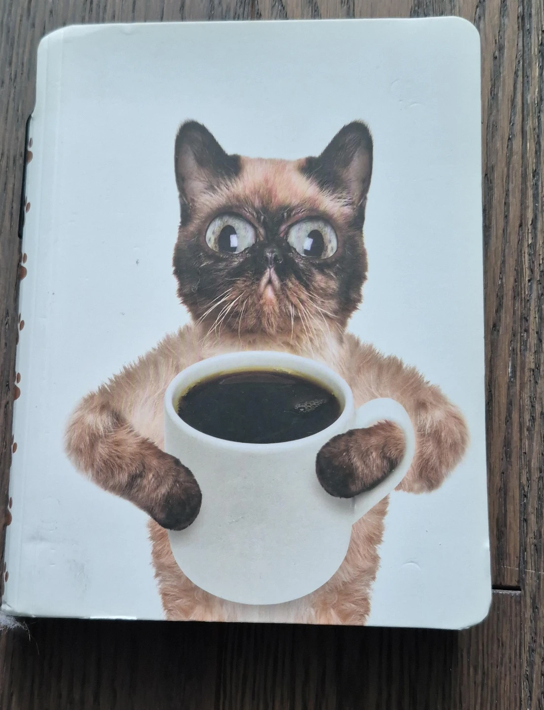 Funny Cat Notebook with Pen and Pen Holder